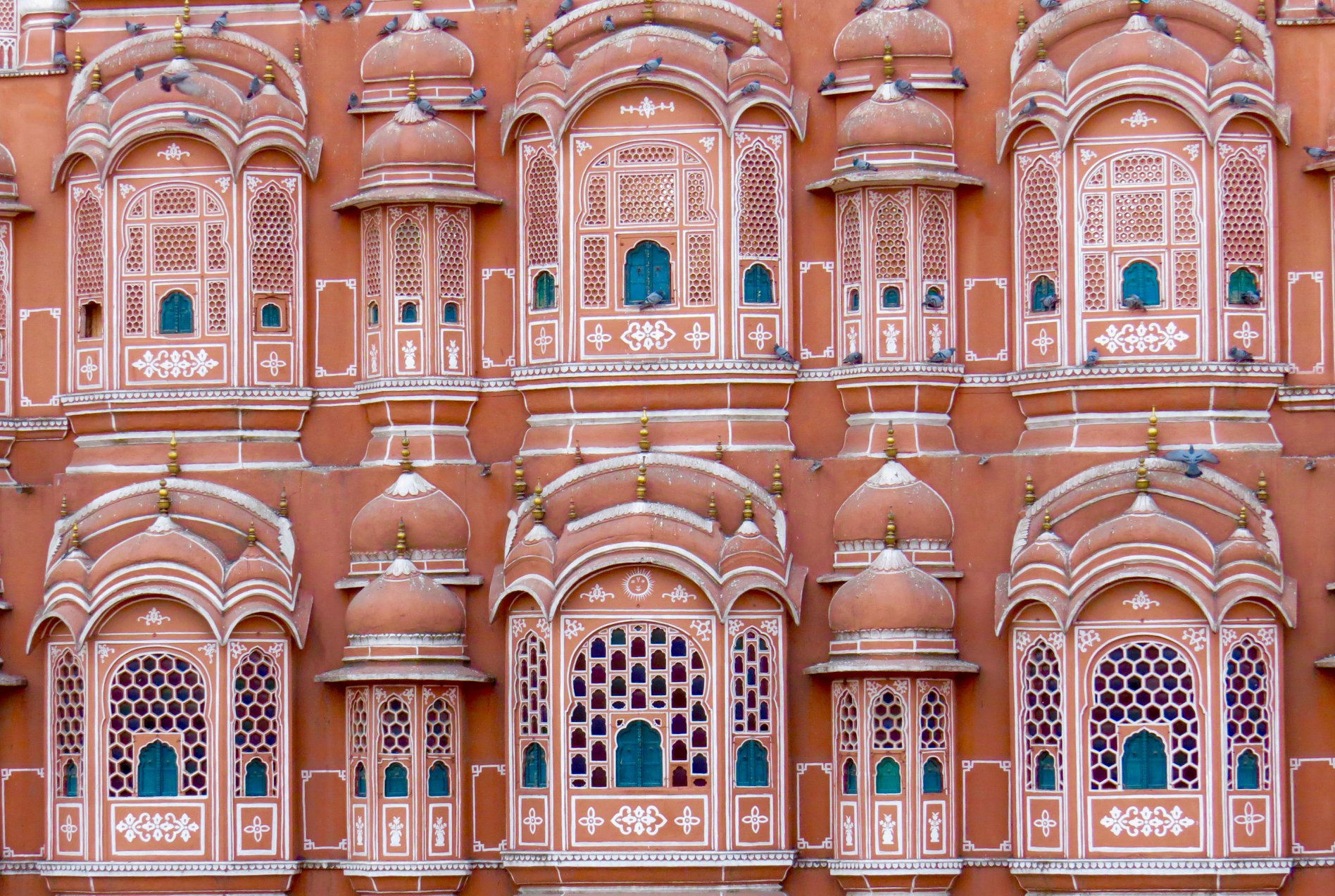 38195958_901580174350_4766918377161621504_o