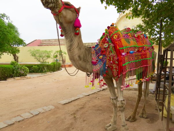 38218310_901579405890_8914247679895142400_o