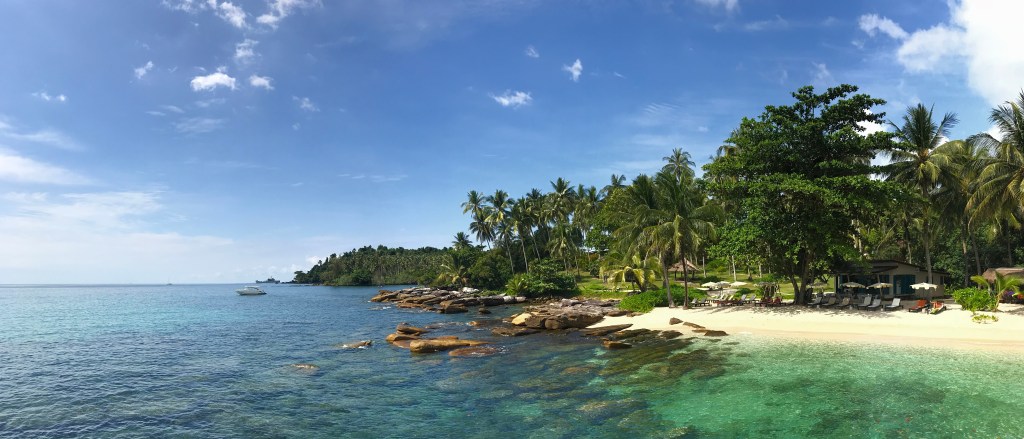 Welcoming 2019 with&nbsp;Tenacity