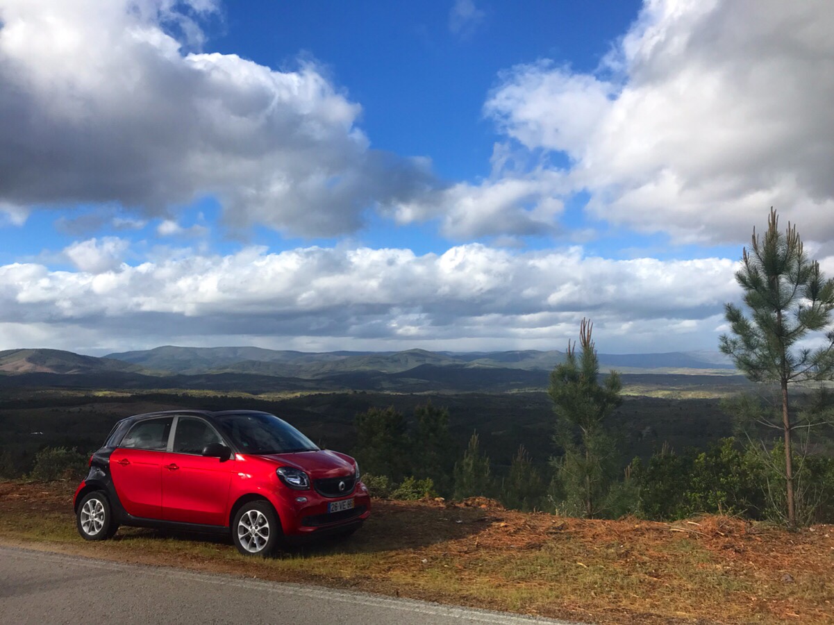 0fb6fef6-1b40-47d2-9c6e-6a9c48a6438e