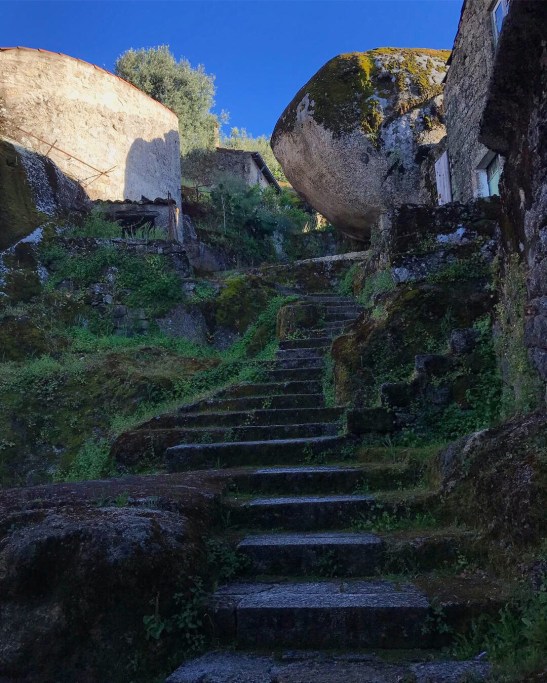 861da47b-cdbe-4278-955f-ce8c684c1777